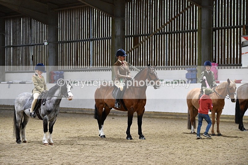 WJ5_8725 - Class 14 Novice Ridden/Rider