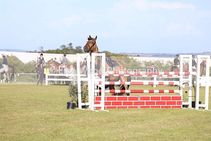 3E7A4501 - Class C: Showjumping Senior Foxhunter