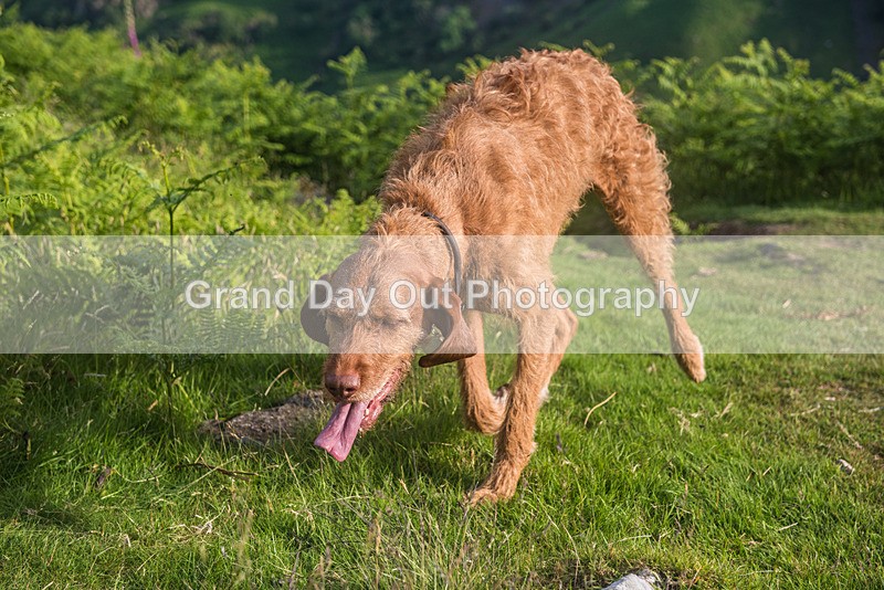 Langstrath-1 - Langstrath Fell Race Wednesday 19th June 2024