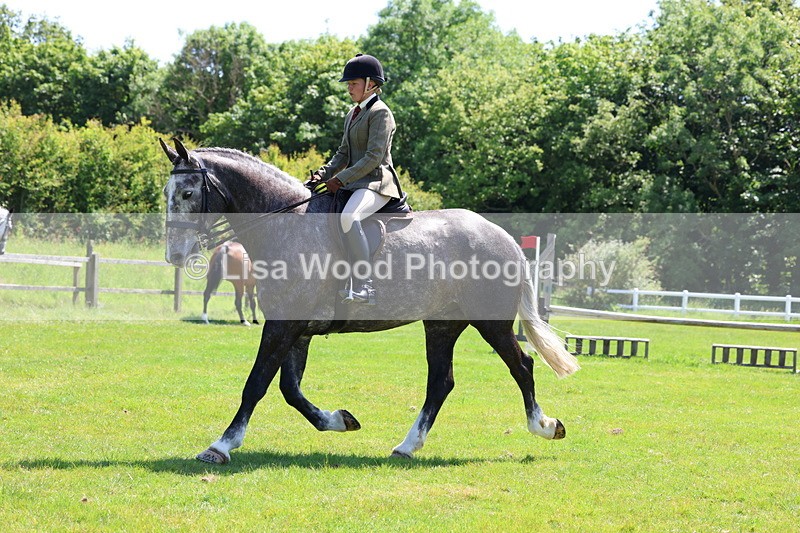 3E7A8310 - Class 13: Ridden Hunter