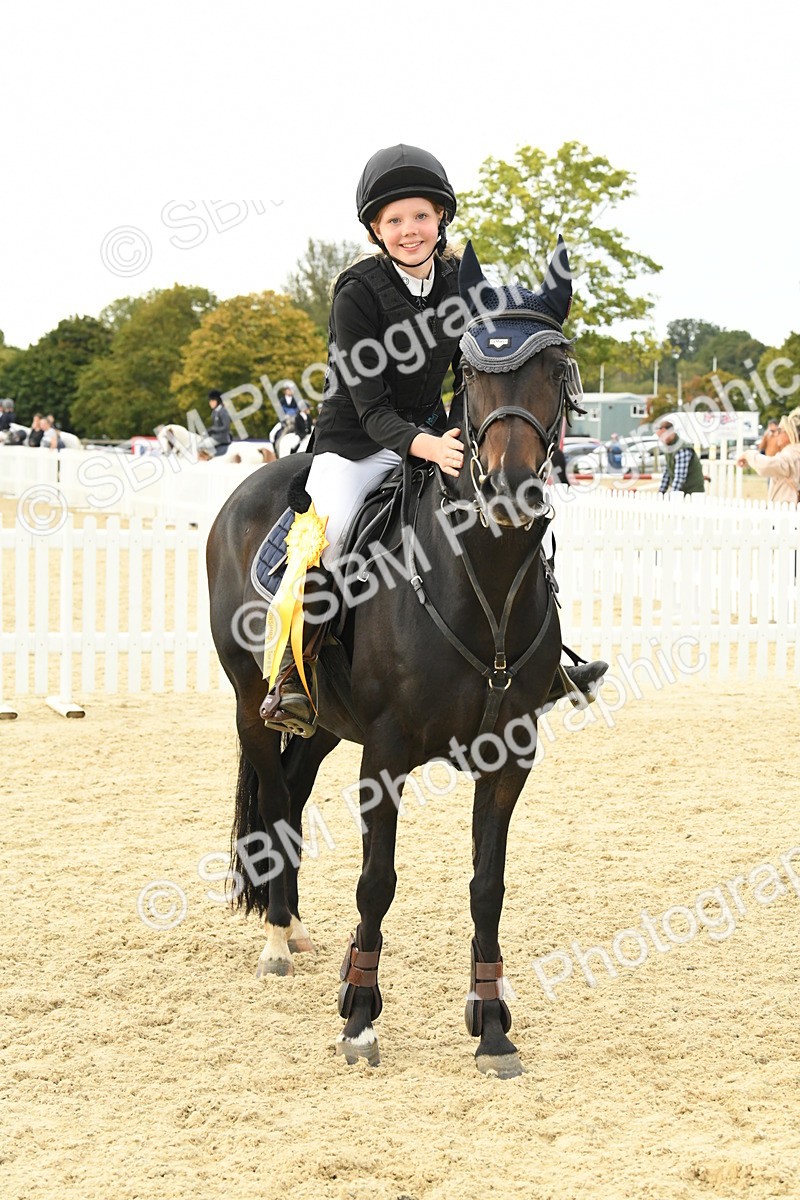 SBM_73354 - J16 - Junior Pony 75cm Championship