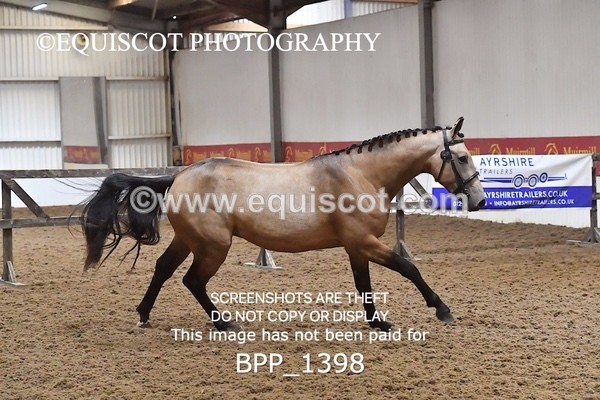 BPP_1398 - MORNING 9AM - 12PM