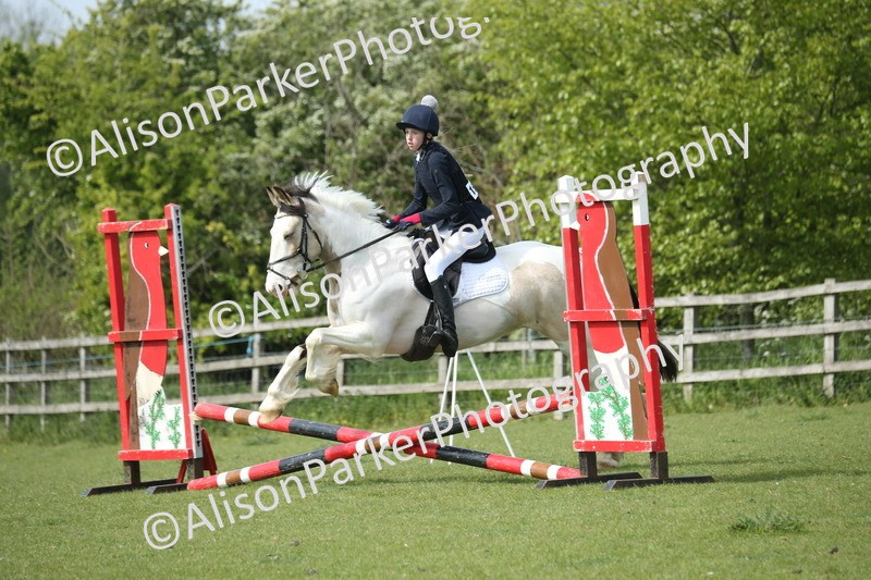 20260426-1643 - Class 14 - Novice 60cm