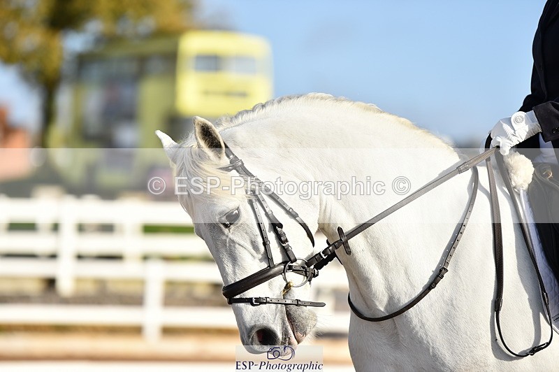 231104A-100802-01267 - Cls 2 Prelim 19