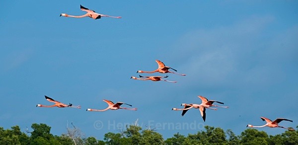  - Yucatan, Mexico
