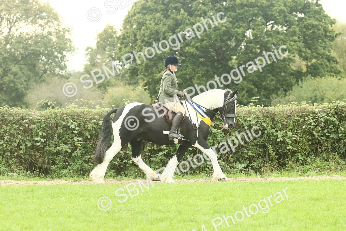 SBM_75156 - Super Supreme Championship