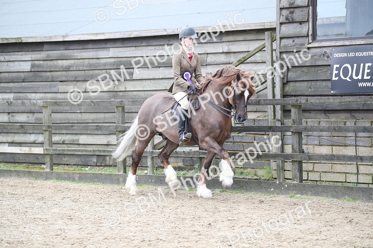 SBM_006472 - Class 10-13 - RIHS Small Large Breeds