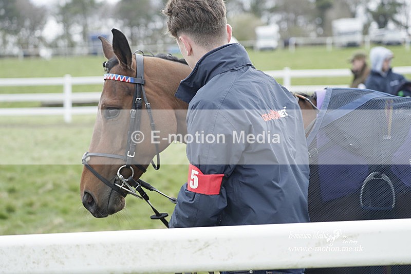 PtP 260323 1073 - New Forest Hounds Point-to-Point Larkhill 26/03/23