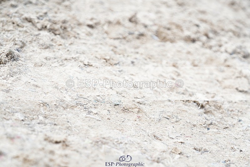 250615A-141030-11373 - Class 47 Snr British Novice 2nd Rnd