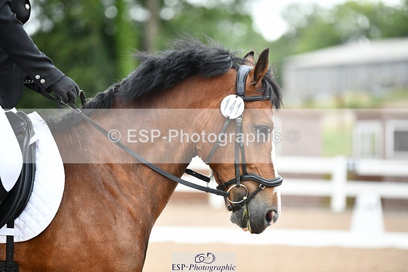 250705-092809-00013 - BRCP1 Sections BRCP1SNR, BRCP1JNR 09-30 to 10-40