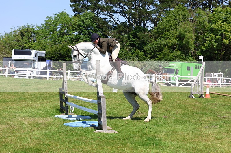 3E7A7485 - Class 31: Working Hunter Cob/Riding Horse