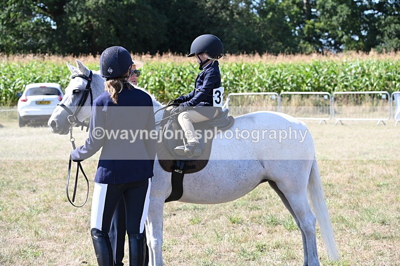 WJ6_7981 - Class 36 Lead Rein