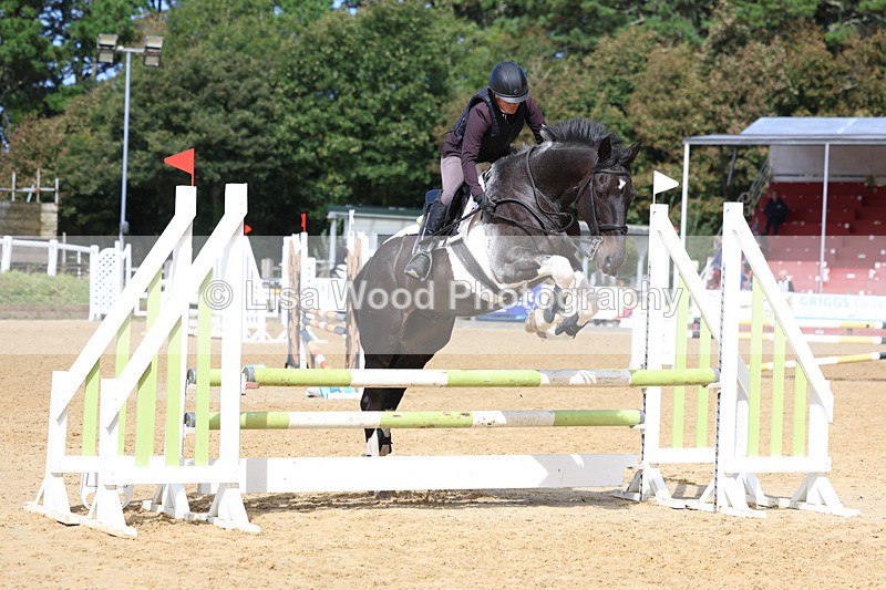 3E7A9237 - Class 9: Senior British Novice/90cm open