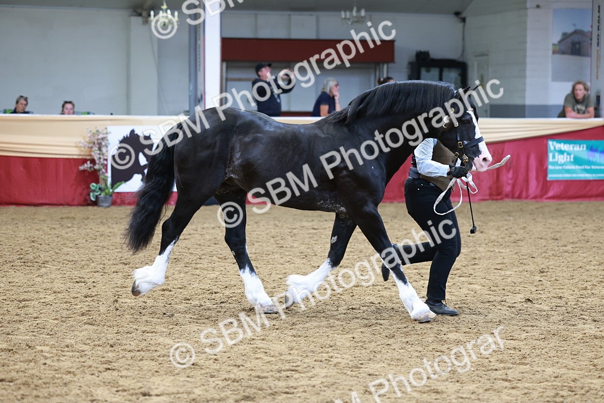 SBM_17470 - Class 951 - M&M IH Supreme Final