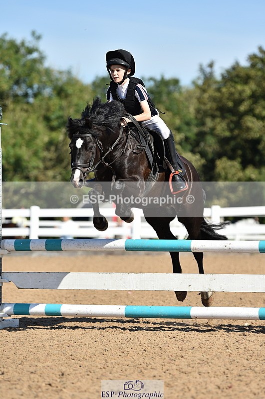 230903A-102816-03979 - Cls 18 Pony Brit Novice & 80cm Open