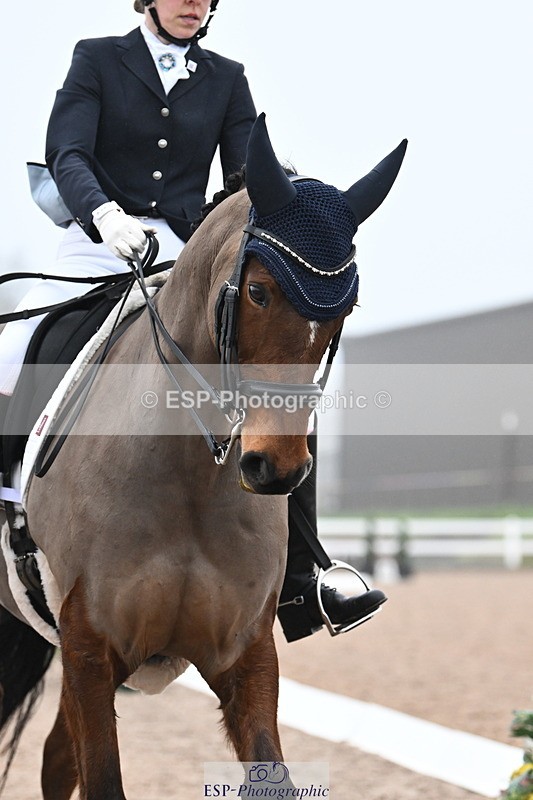 240217A-115500-02464 - 228-Abby.Bannell-Royal.Dalliance