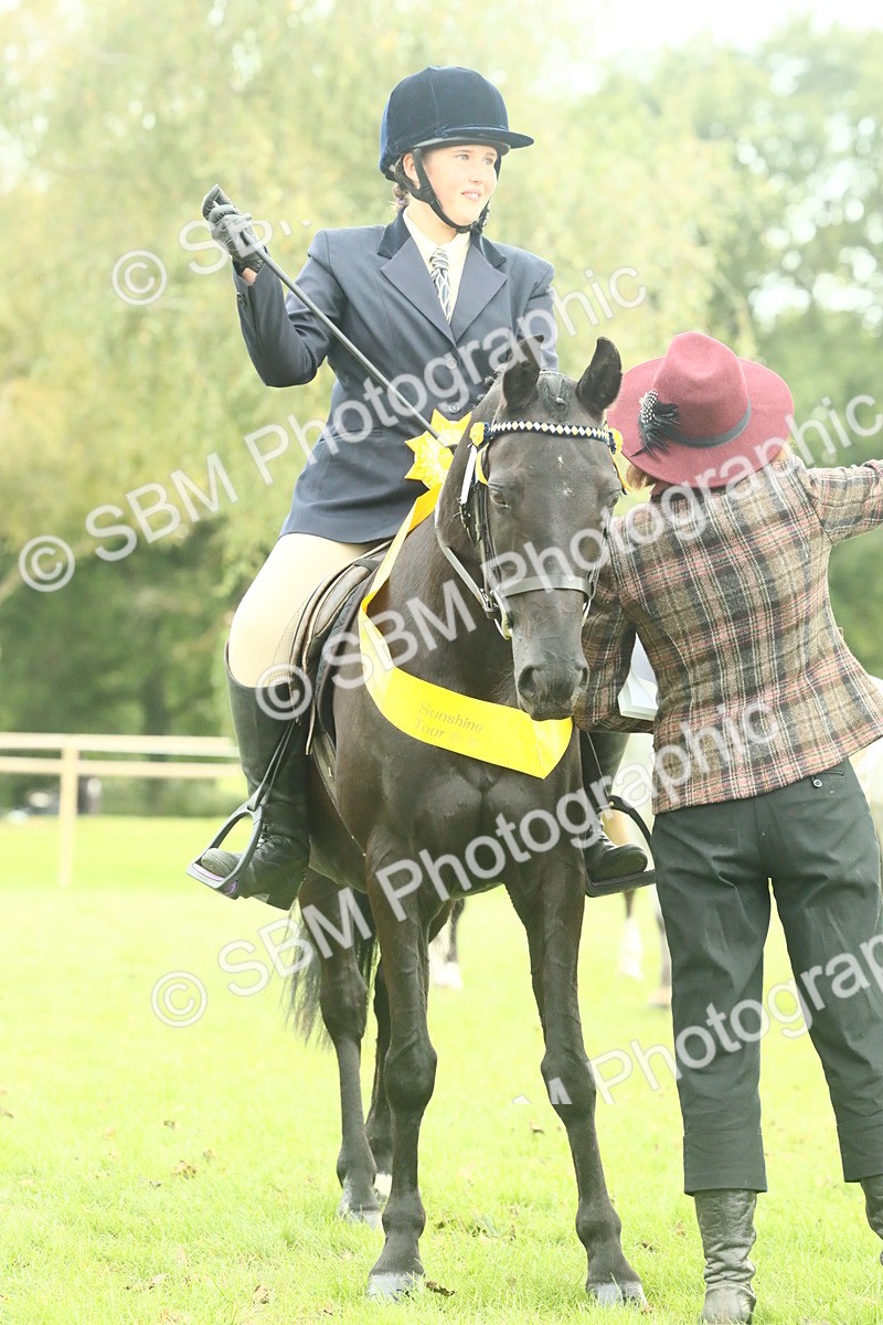 SBM_74132 - S 61 - Show Pony & Show Hunter Pony Ridden
