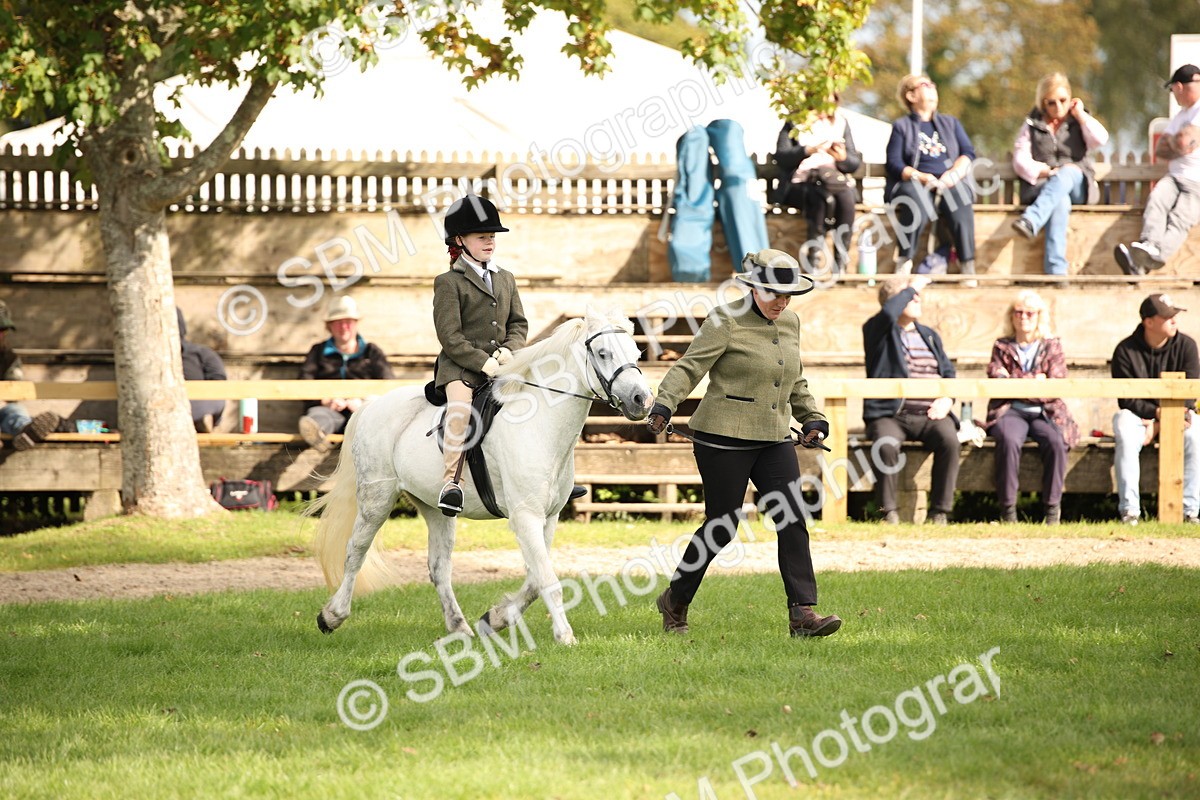 SBM_50030 - S26 - Young Veteran - Ridden