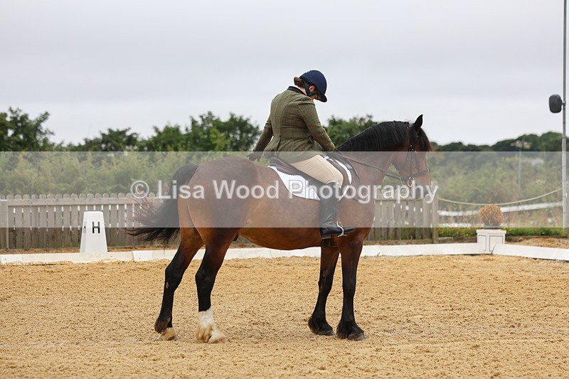 3E7A4597 - Class 1: Intro 4 2024 section A