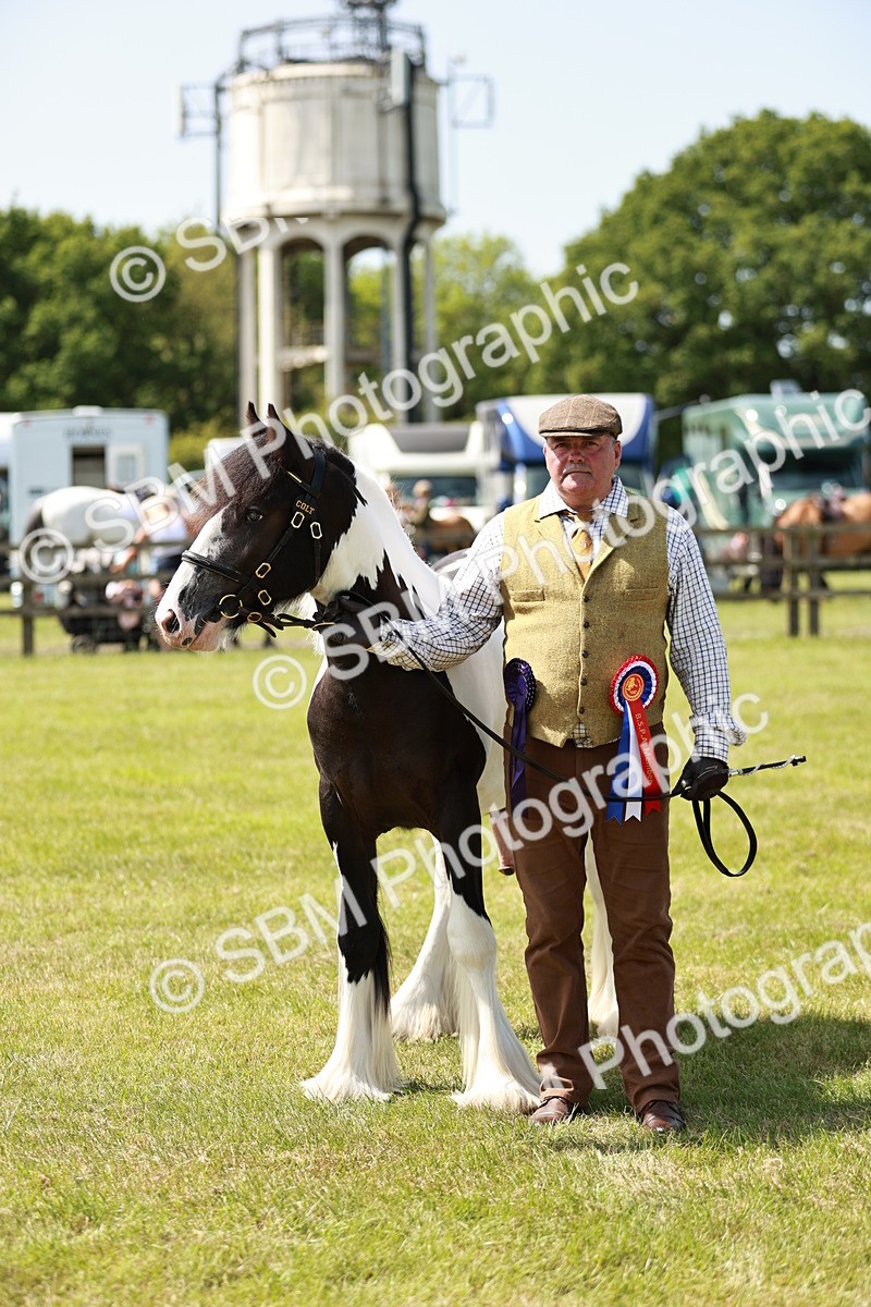 SBM_04290 - Class 39-40 - BSPA Coloured In Hand
