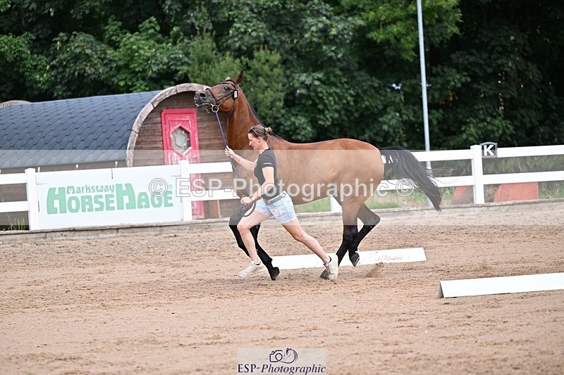 250716-131224-00402 - Trot Up 12.30 to 1.30