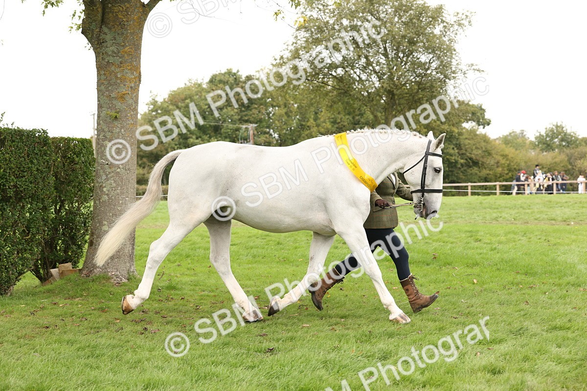 SBM_60849 - In Hand Horse Supreme Championship