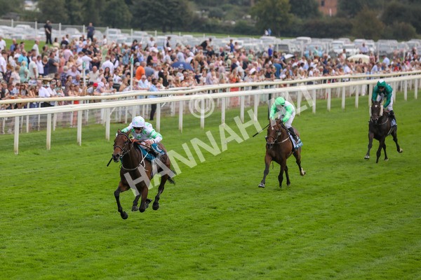 100923-Race 3-Yorkindness-3850 - Race 3 2.45pm Fine Details Vehicle Valeting Handicap