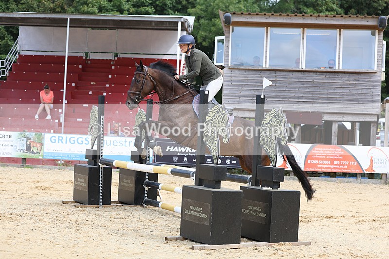 3E7A3363 - Class 4: Senior British Novice/90cm open