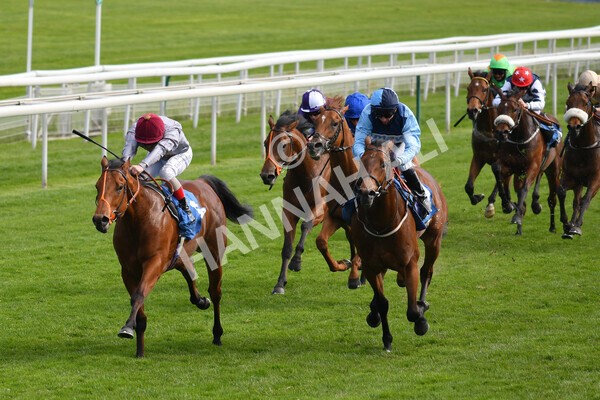 yr13052021r6-30 - Race 6 4.15pm Constant Security EBFstallions.com Maiden Stakes