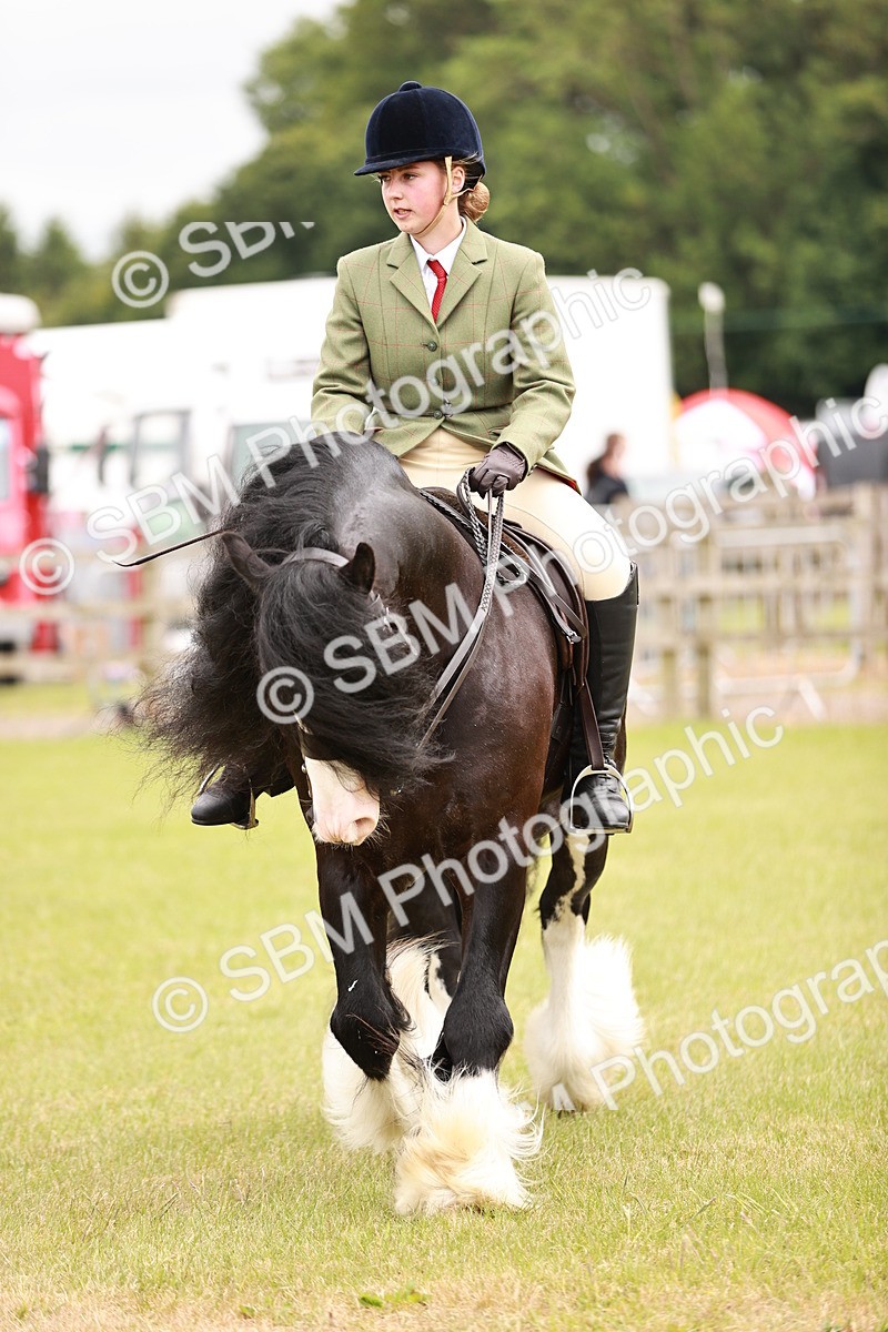 SBM_06222 - Class 39-41 TGCA In Hand and Ridden