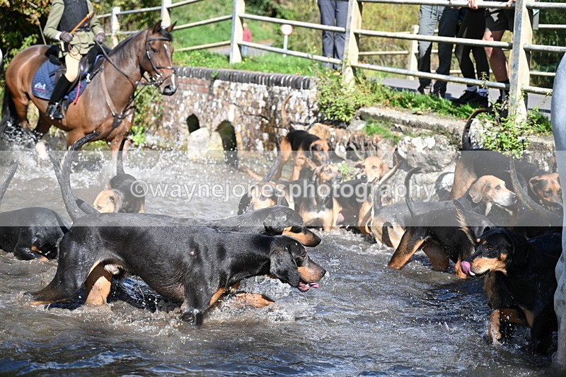 WJ7_5993 - Hounds Water Crossing