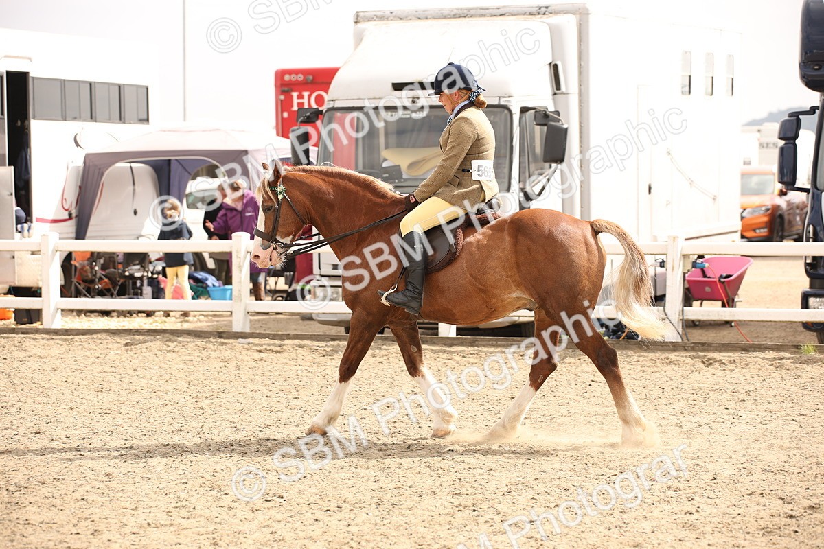 SBM_12608 - Class 405b - M&M Working Veteran 50cm 20+