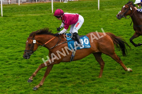 170623-Race 6-Mostawaa-0893 - Race 6 4.50pm Ice Co Supporting Macmillan Handicap