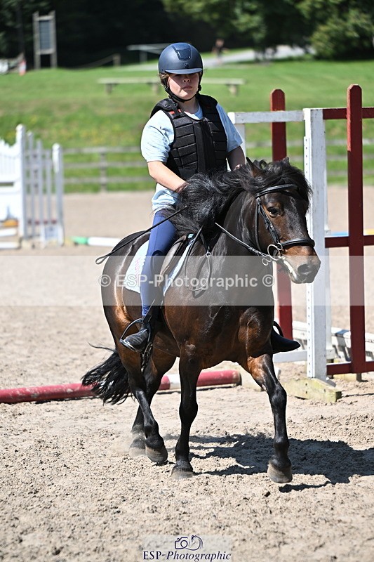 240729B-114435-02522 - Showjumping Competition