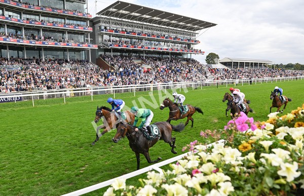 220825-074 Trawlerman - Race 2 2.25pm Weatherbys Lonsdale Cup Stakes