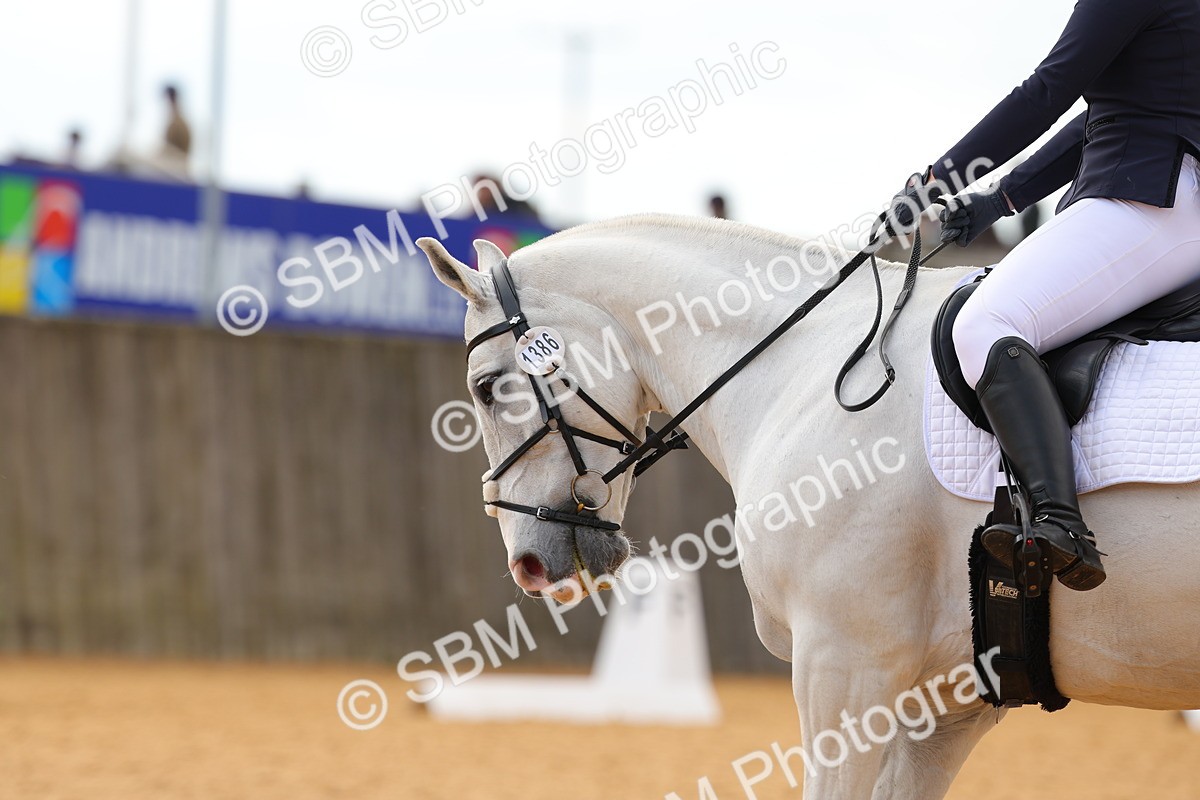 SBM_47306 - D6 - Small Tour Championship - Intro C