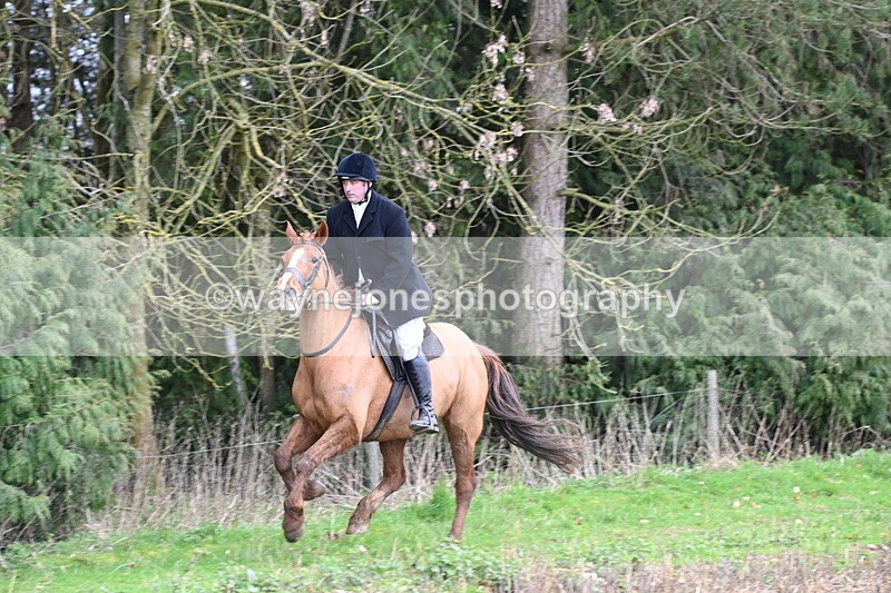 WJ6_9494 - Line Four