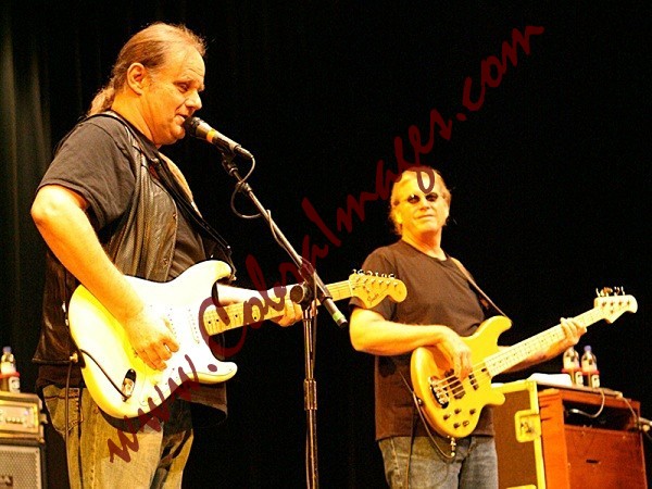 075_RT5B8012 - Walter Trout