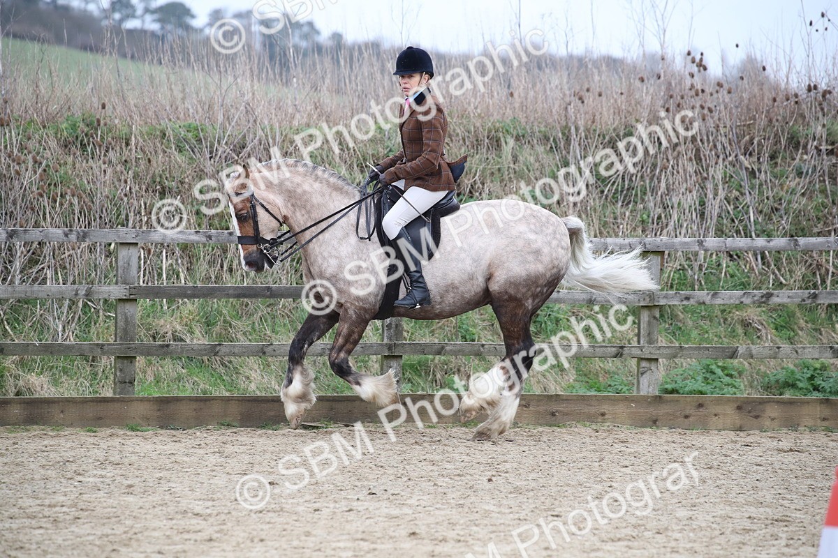 SBM_007250 - Class 10-13 - RIHS Small Large Breeds