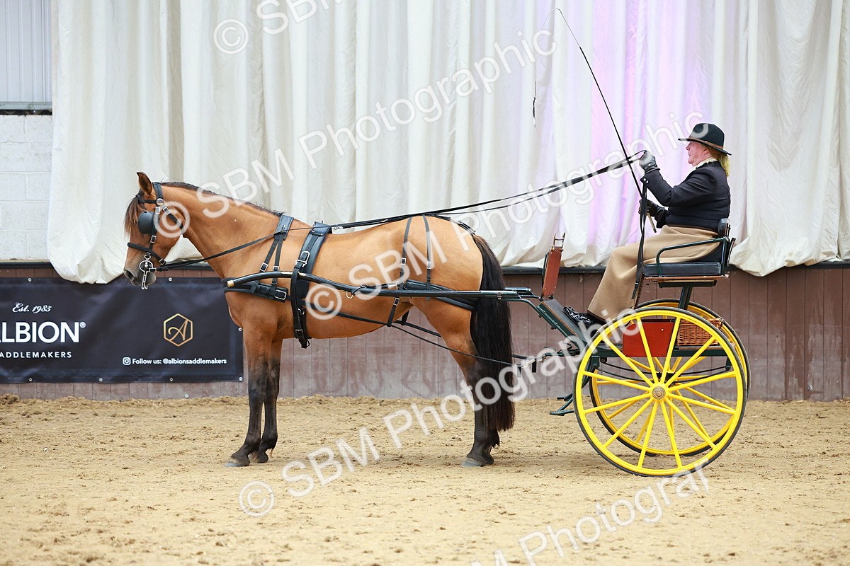 SBM_001068 - Class 15 - Open Showmans Class