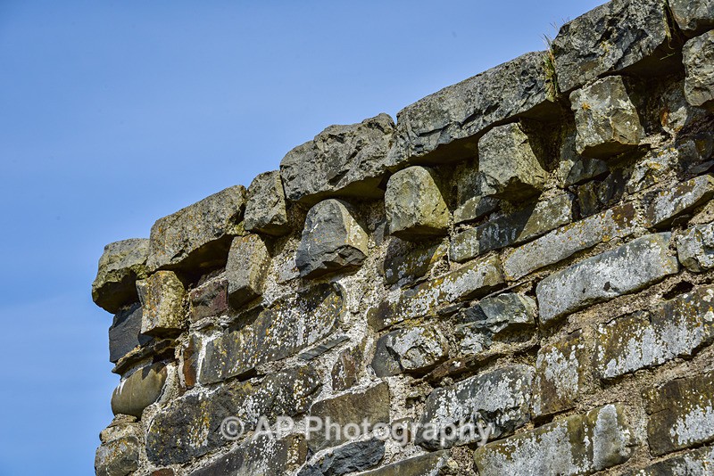 ACP_7326-1 - Clarach to Wallog