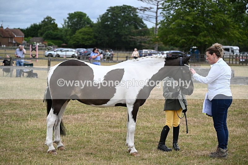 WJ6_4313 - Class 10 Coloured In-hand