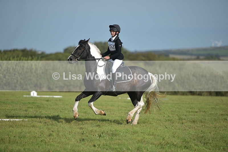 RAY_7629 - Class 2B: Trekenning Open: Dressage