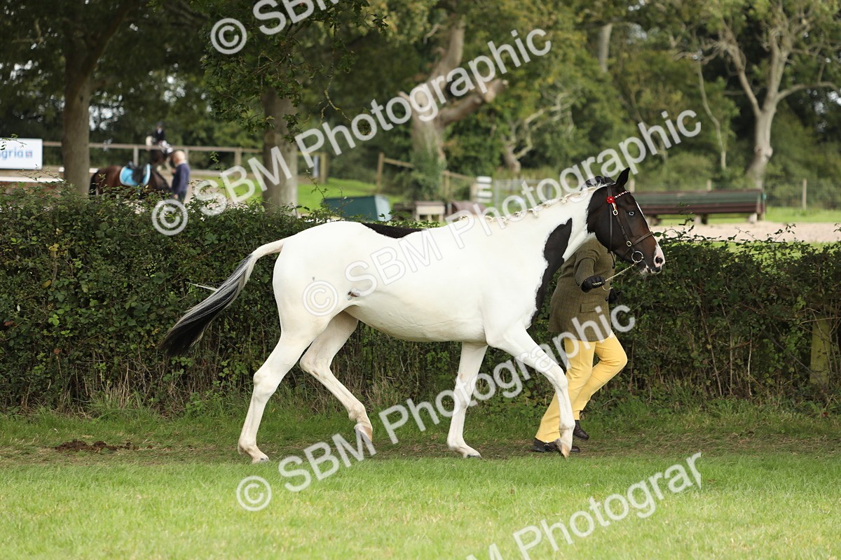 SBM_68546 - S40 - Junior Handler 9-12 Years