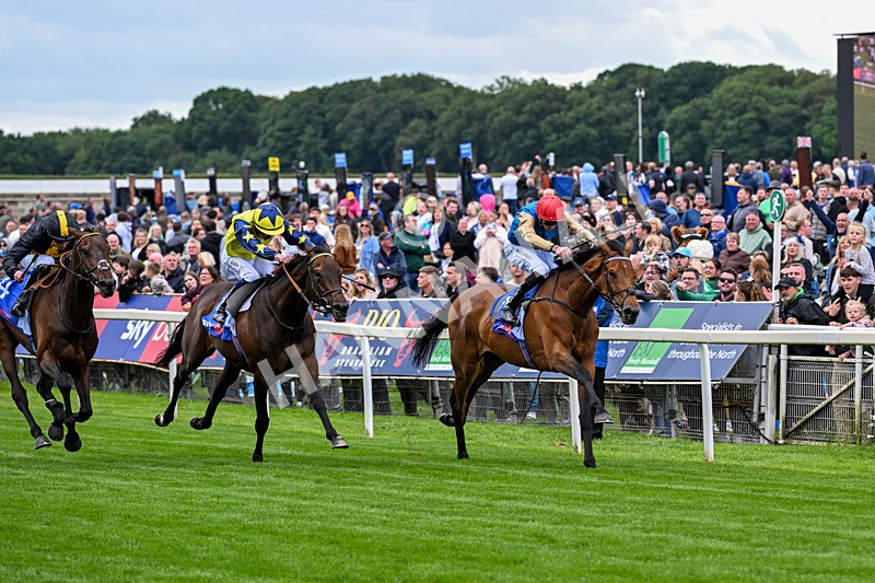 130626-Race 3-Gregory-1012 - Race 3 15.00pm Sky Bet Race To The Ebor Grand Cup Stakes