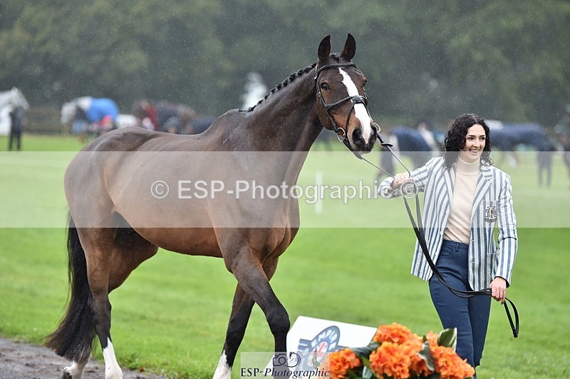 231018-121034-00119 - 013-CRIME.SCENE-Alexandra.Heard-TrotUp