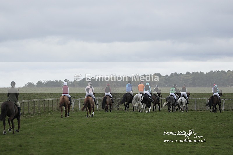 PtP 260323 0176 - New Forest Hounds Point-to-Point Larkhill 26/03/23