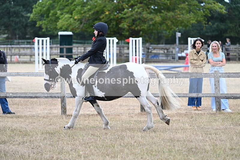 WJ7_7297 - Class 2 Best Rider