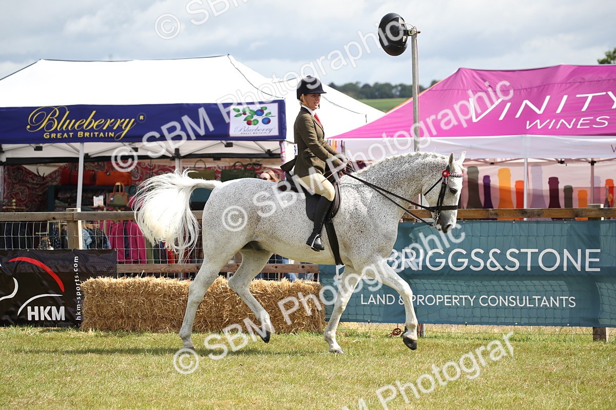 SBM_13193 - Class 95-96 - LIHS BSHA Rising Star Hack Riding Horse