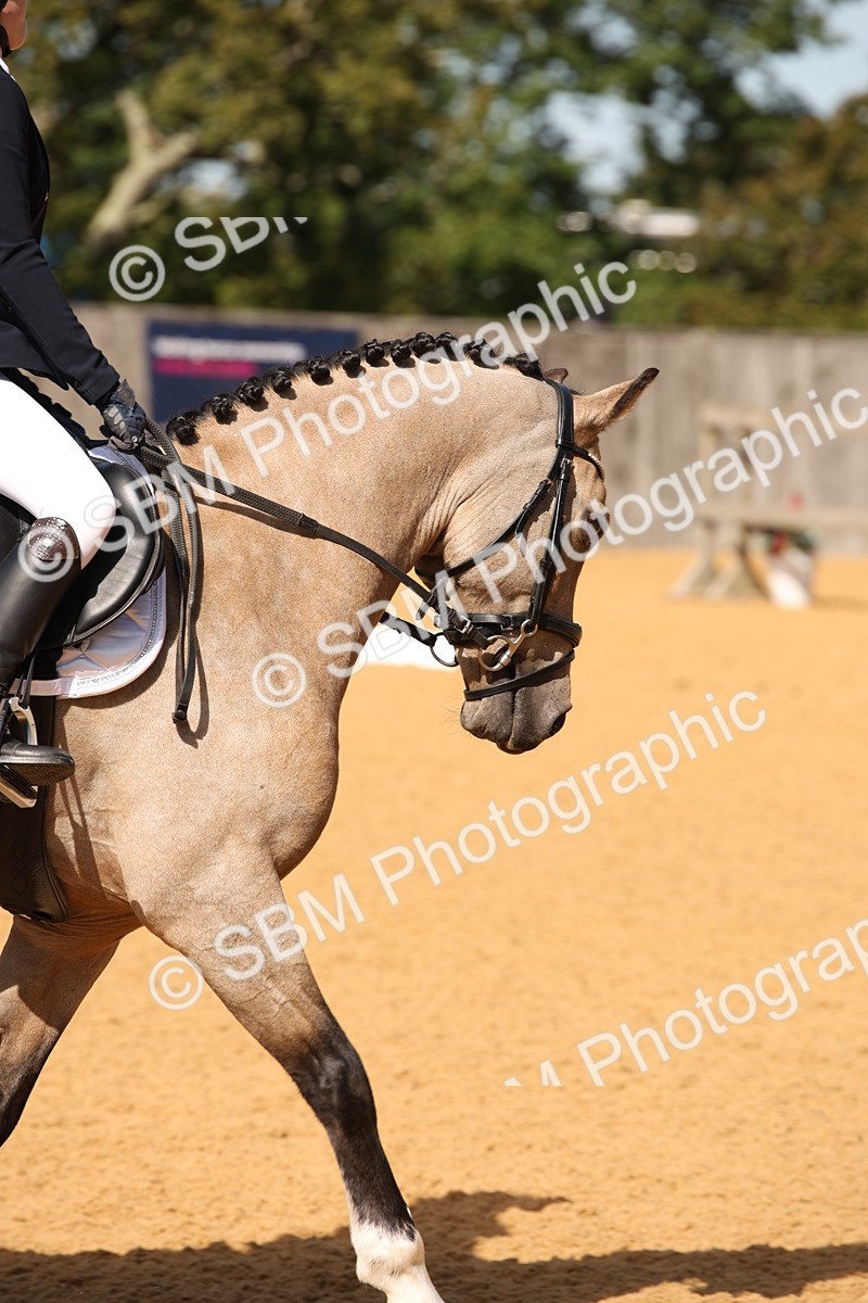 SBM_21712 - D5 - Small Tour Championship - Intro C